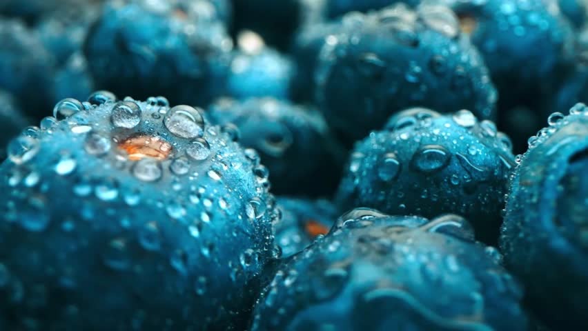 An ultra close-up macro shot capturing glistening water droplets resting on fresh, ripe blue berries. Perfect for showing freshness, purity, and organic quality.