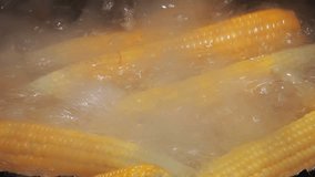 Video 1920x1080 - Corn on the cob cooked in boiling water