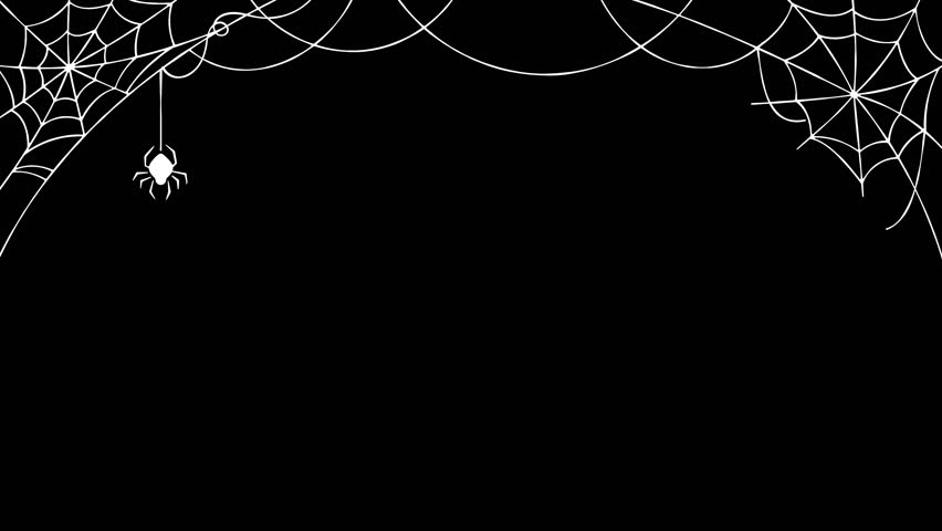 Halloween Spider Web Loop Animation, Transparent Background
