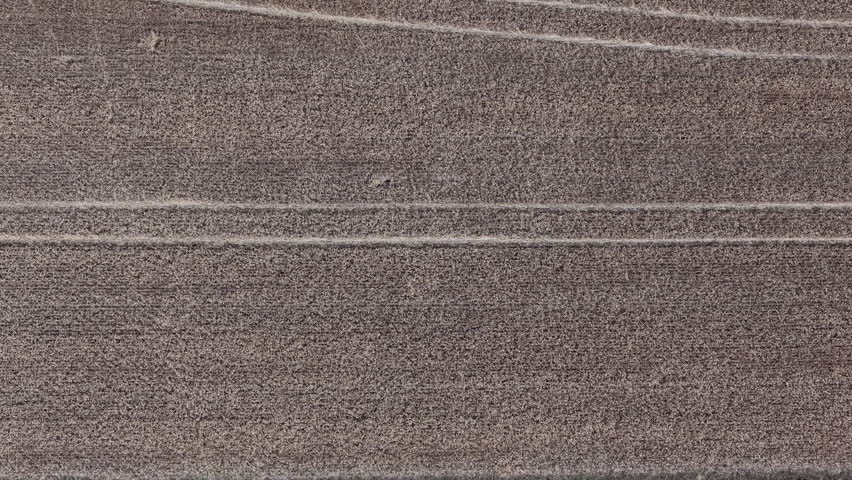 Dark grey textured surface, featuring subtle horizontal lines and a grainy, rough appearance, creates a versatile abstract background.
