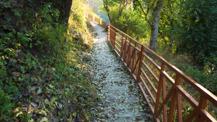 A scenic stone hiking trail winds through a lush forest with wooden safety railings in Chakrata, Dehradun, Uttarakhand.