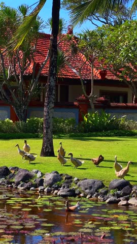 Ducks and chickens explore vibrant garden with a serene pond, surrounded by lush greenery and tropical plants. Nature harmony concept.
