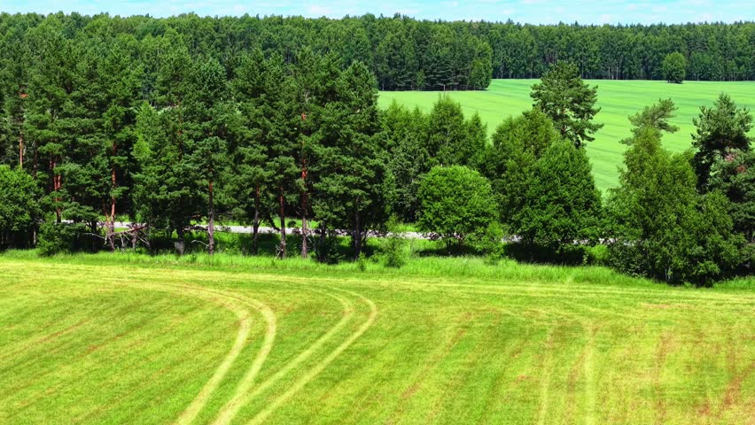 Green grass field with freshly cut patterns and dense forest landscape under clear blue sky