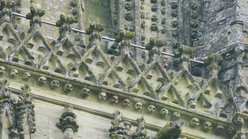Two juvenile peregrine falcons perch among historic cathedral stonework, looking around from an urban nesting site in the UK.