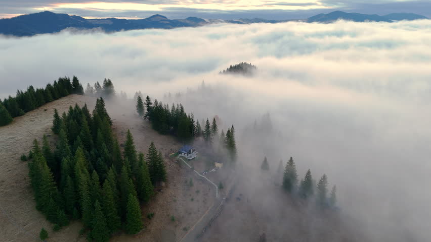 Misty mountain homestead surrounded by spruce trees above a sea of clouds, drone video frame with soft dawn light, rolling hills and quiet rural atmosphere