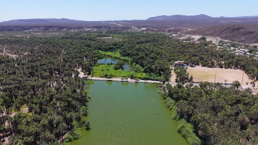 An expansive wide-angle aerial vista showcasing a vast green date palm forest and river basin cutting through the barren desert mountains of Baja California Sur.