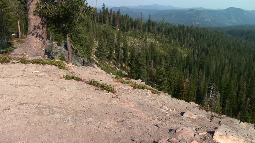 Evergreen forest from a cliff in Lassen Volcanic National Park in California