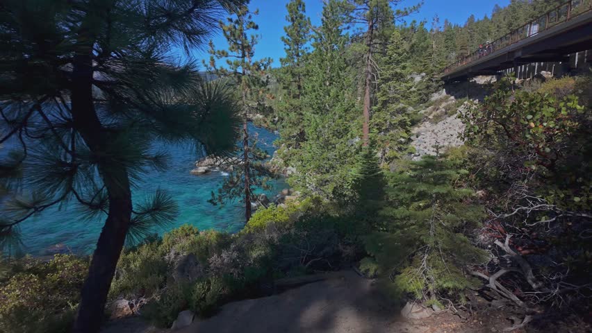 Lake Tahoe shoreline with pine trees and clear blue water in California. Scenic mountain lake landscape with forest and transparent water, ideal for travel, nature, and outdoor use