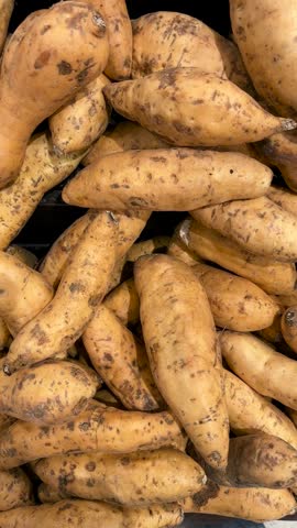 The process of selecting high-quality, fresh sweet potatoes. close-up shot.