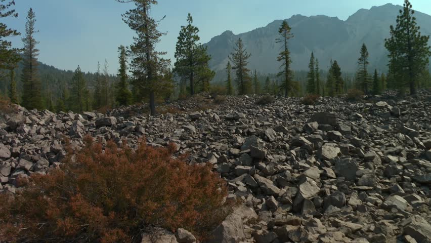 Barren field of volcanic rocks and pine trees in Lassen Volcanic National Park, California