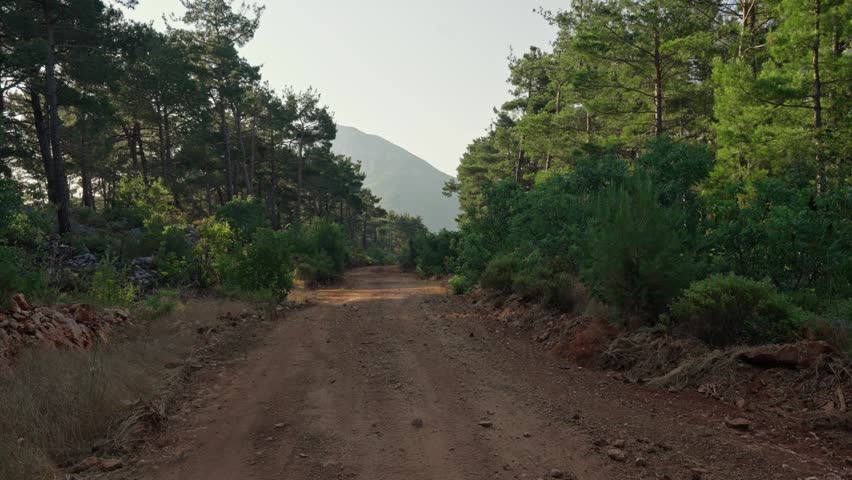 A panoramic view of a dirt road winding through a forested landscape under cloudy skies.