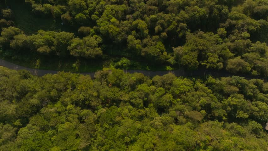 Cinematic aerial drone footage of the French Alps showcasing breathtaking mountain landscapes, dramatic peaks, lush green valleys, dense forests, and pristine alpine nature. Stunning panoramic views c
