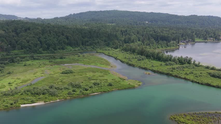 Aerial View of Serene River and Lake Meeting in Lush British Columbia Landscape