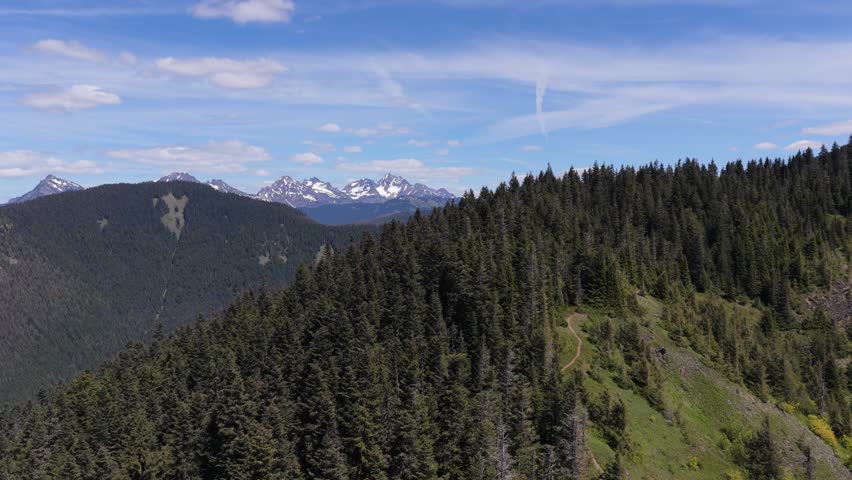 Majestic Snow-Capped Mountain Peaks Above Lush Evergreen Forests in British Columbia, Canada
