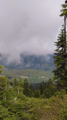 Majestic Mountain Landscape with Rolling Clouds Over Lush Green Forests in British Columbia, Canada