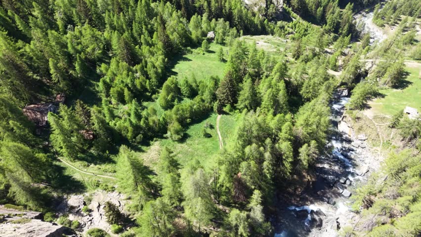 Mountain stream and alpine greenery near Cascata Biolet