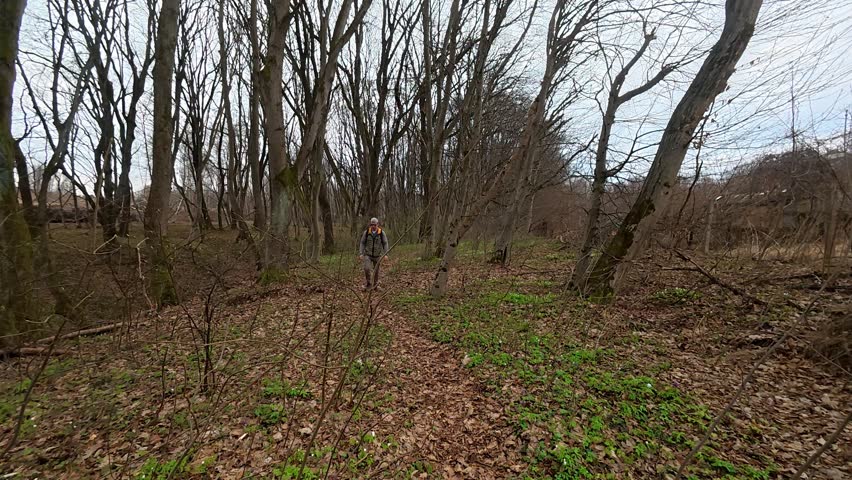 Walking along a forest trail, a traveler enjoys the sights and sounds of nature. The path is lined with trees and fresh greenery, perfect for adventure.