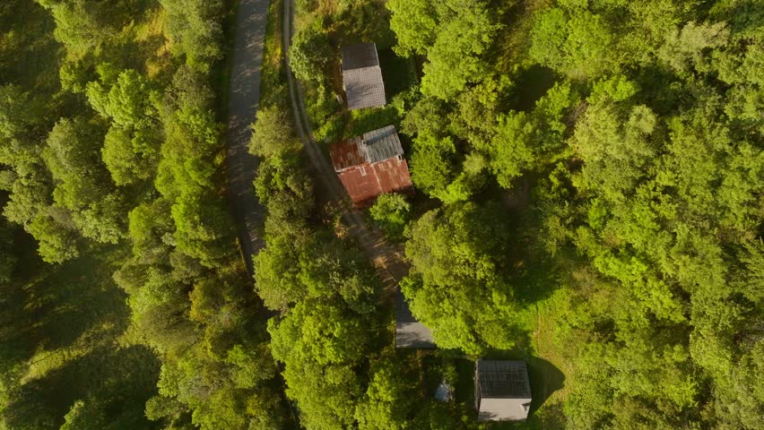 Cinematic aerial drone footage of the French Alps showcasing breathtaking mountain landscapes, dramatic peaks, lush green valleys, dense forests, and pristine alpine nature. Stunning panoramic views c