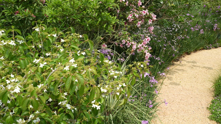 path leading through a flower garden