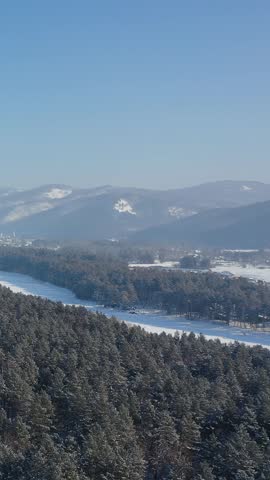 Vertical Aerial video view from drone on Altai forest on the banks of river Katun in winter.   Altai Republic.