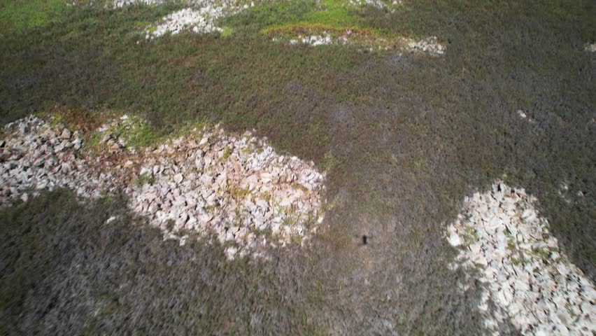 High-angle drone sweep over a desolate coastal landscape, showcasing the rugged texture of dark low scrub and patches of mountains of conch shells