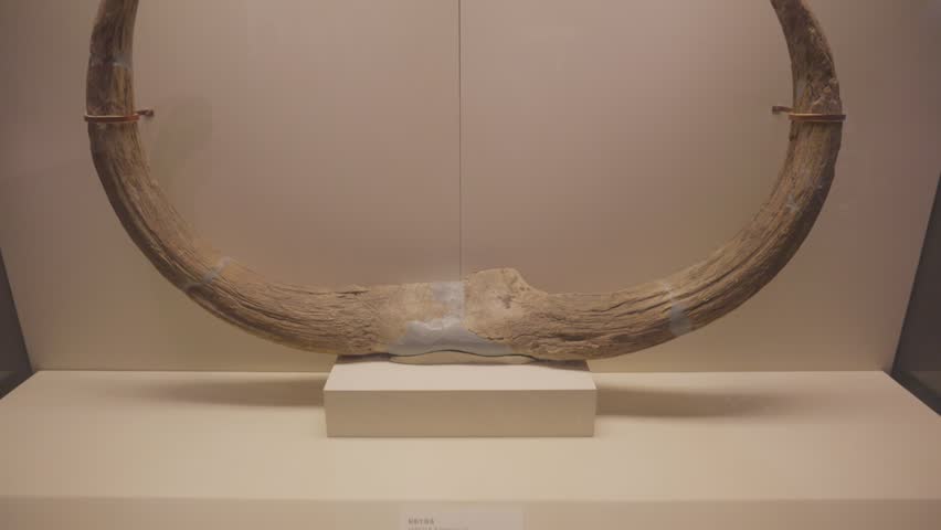 Ancient Artifacts and Cultural Treasures Inside the National Museum of China in Beijing, China