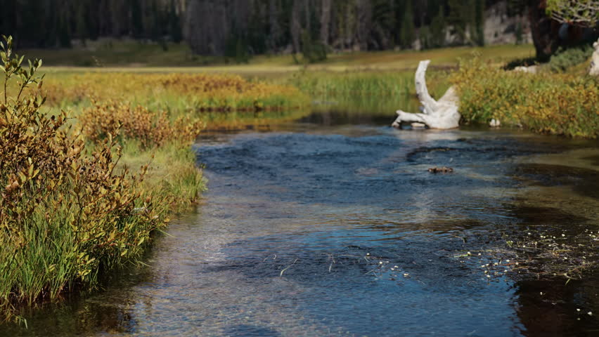 Autumn creek with driftwood opens to reveal Mt. Helen