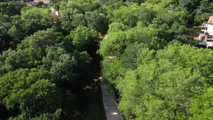 An aerial view of the Culebra Creek Tributary trail with green lush trees along the road