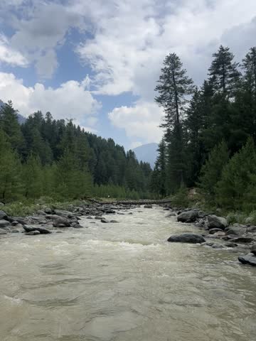 Forest with river stream and mountains