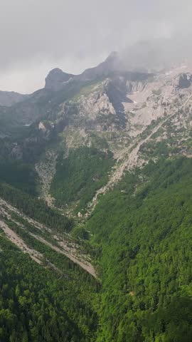 Fog and mist covering lush green mountain slopes