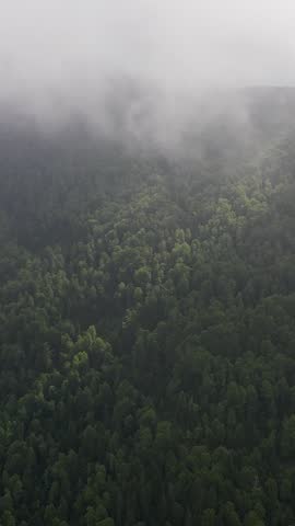Dramatic aerial footage flying over a dense green forest canopy. Low hanging clouds and fog create a mysterious and moody atmosphere