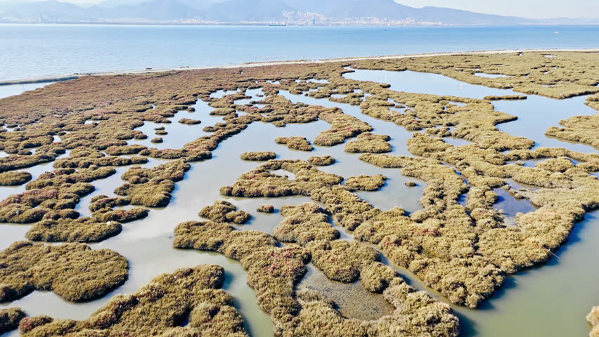 Salt marsh and shallow coastal lagoon near shoreline. Aerial view of wetland pools, marsh vegetation and calm sea water