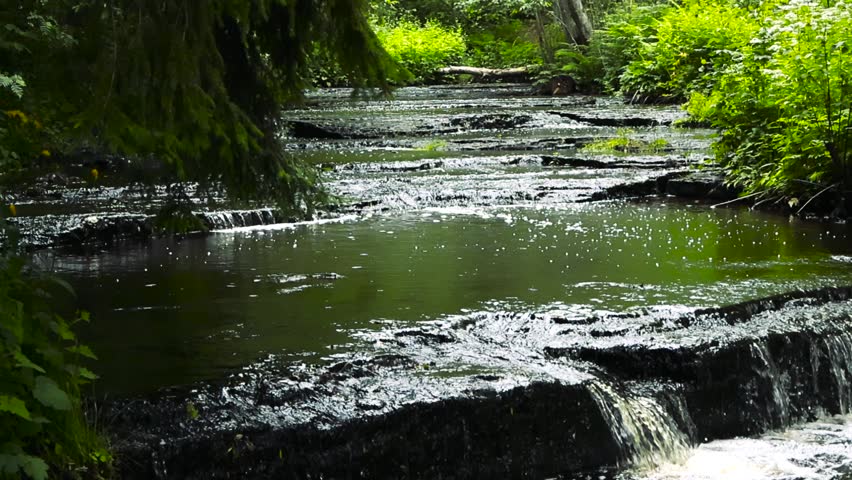 Serene creek flowing over dark limestone rock formations, creating a series of beautiful small waterfalls surrounded by a lush green forest during a peaceful summer day in Estonia