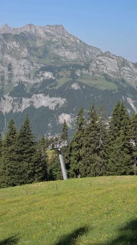 Scenic Swiss Alps view from Walenpfad trail with rocky peaks, forested slopes, and summer meadow near Engelberg.