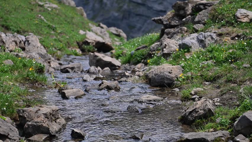 Steep rocky mountain wall behind a green alpine meadow with scattered stones on a Swiss hiking trail near Engelberg.