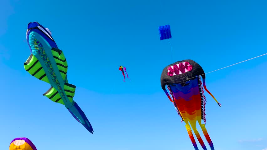 Many different colorful kites in the form of marine life are flying in the clear blue sky and swaying in the wind during summer outdoor festival. Childhood, freedom and leisure time concept