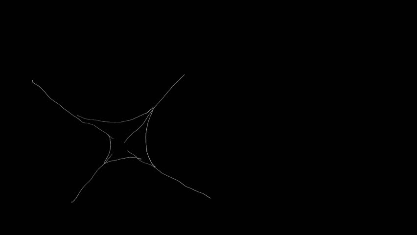 Large white spider web grows across a black background. Detailed spider web transition animation in 4K. Halloween stock clip for scene transition.