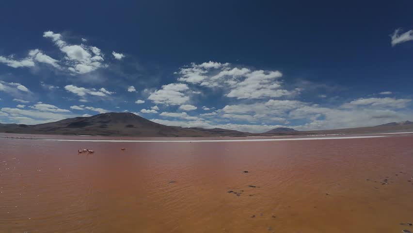 Scenic View Of Laguna Colorada Red Lake With Flamingos And Volcanic Landscape In Bolivia