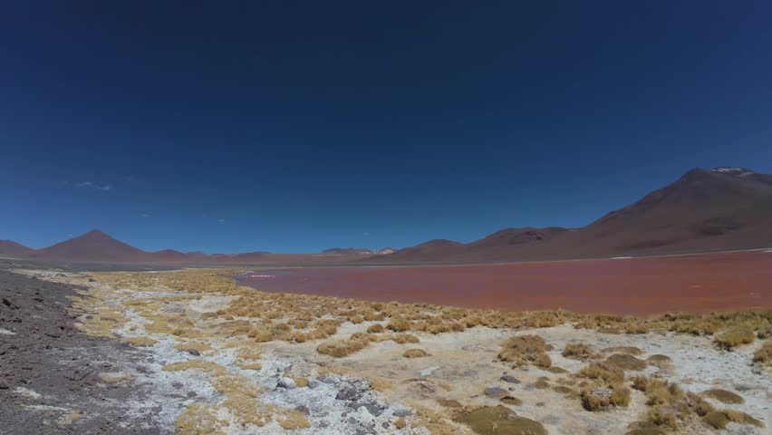 Spectacular Red Laguna Colorada With Volcanic Mountains Under Dramatic Blue Sky In Bolivia