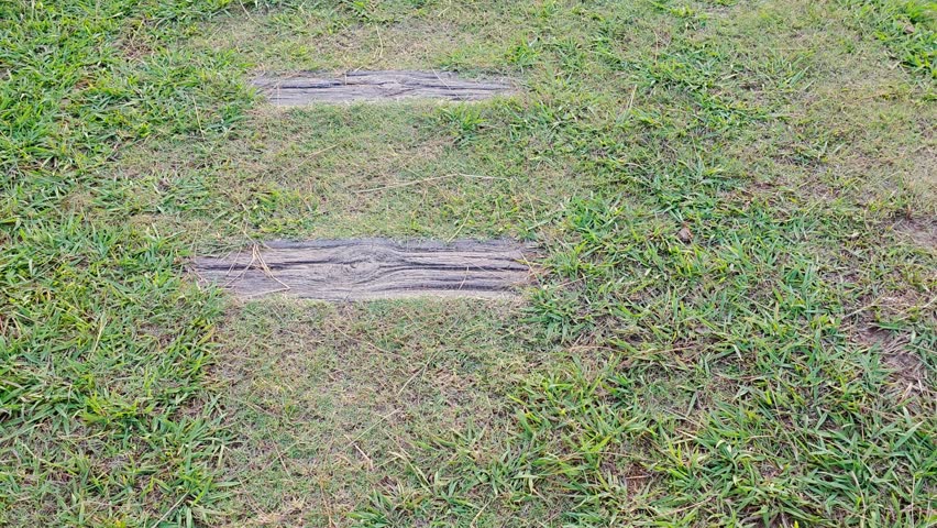 Wooden stepping stones on a grassy lawn leading to an outdoor pathway