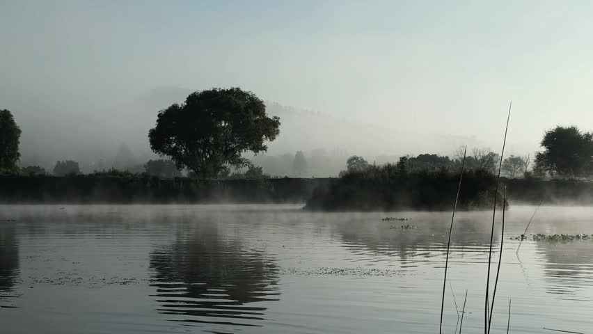 Misty morning over a tranquil river with trees and reeds lining the bank, creating a serene landscape
