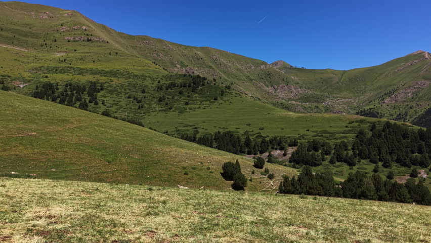 Herd of chestnut horses grazing across a high altitude alpine meadow in Andorra, with a wooden corral, lush green Pyrenean mountain valley, pine forest and clear blue sky