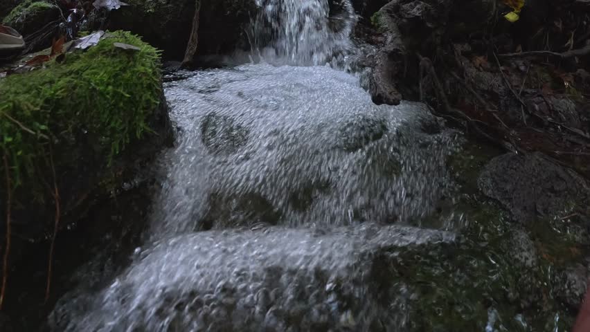 Clear stream winding through deep woodland