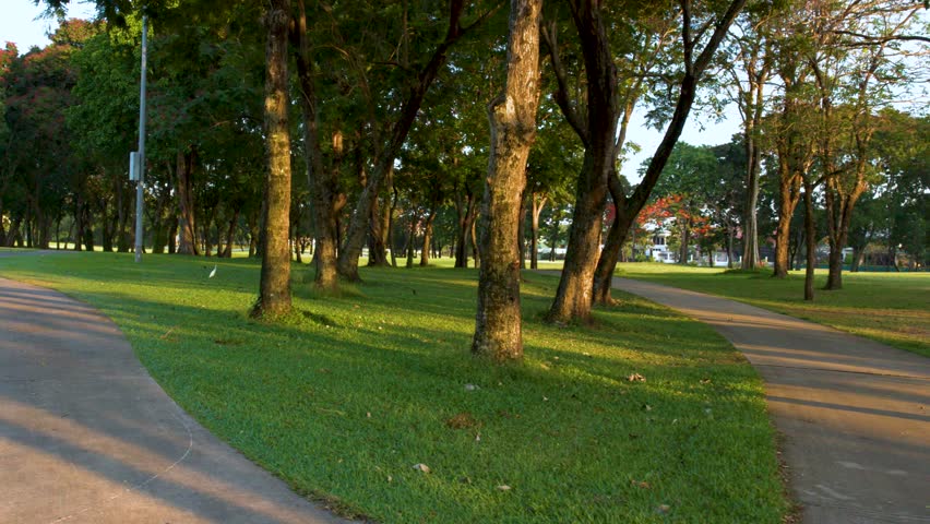 A smooth camera pan follows a curved walkway through green grass and sunlit trees.