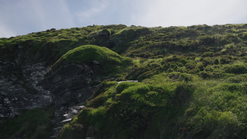 Rocky coastal cliffs covered with lush green vegetation overlook the ocean, showcasing a rugged and scenic natural environment with steep slopes and rock formations.