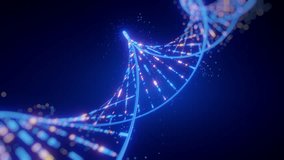 A luminous digital DNA double helix, glowing with vibrant blue and orange data patterns against a dark background, embodies genetic computing algorithms and complex data processing. This abstract - Powered by Shutterstock - Get 15% off with code: PIKWIZARD15