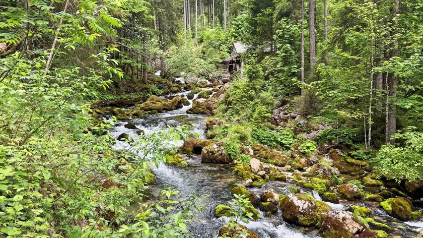Clear alpine stream flows through a lush Austrian forest near Golling Waterfall, with mossy rocks, small cascades, and peaceful woodland scenery.