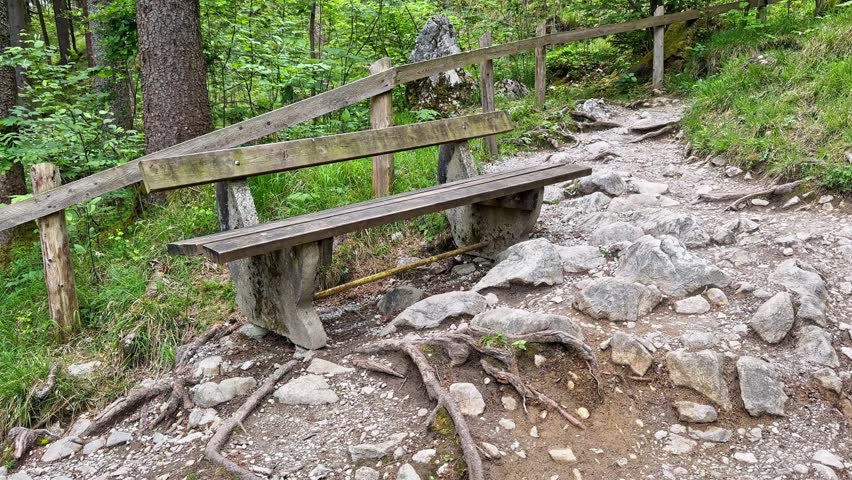 Wooden bench on a rocky forest trail, surrounded by green woodland, exposed roots, and a rustic handrail in a peaceful hiking area.