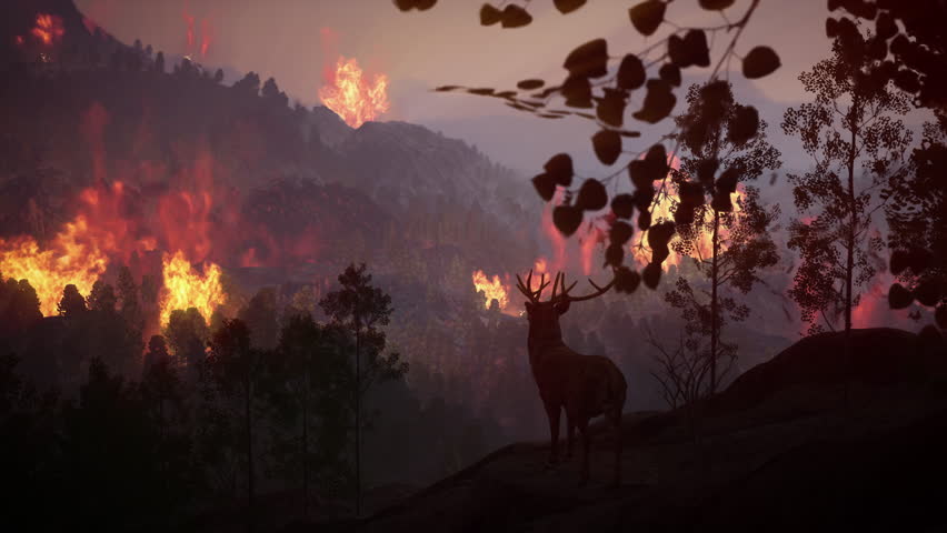 A catastrophic natural disaster of mountain forest fire fiercely rages through the wilderness, threatening diverse wildlife species and their fragile ecosystem.