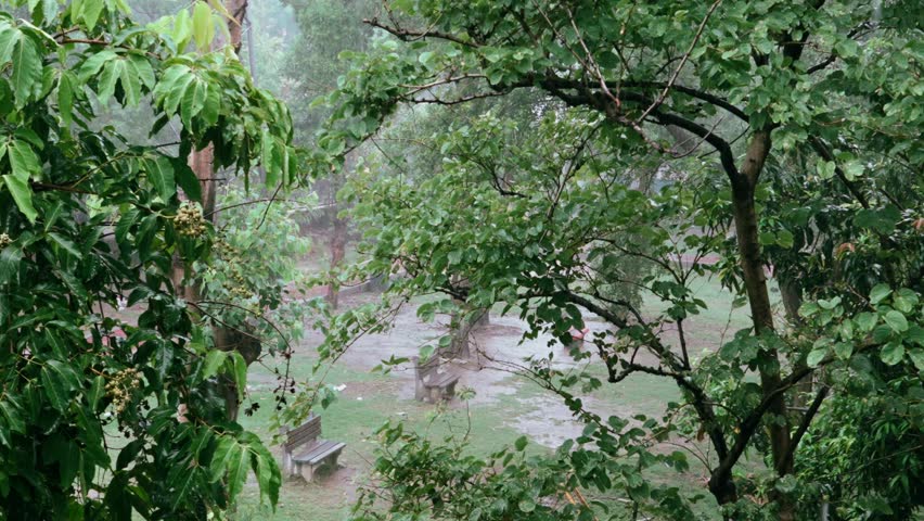 Afternoon Rain In A Quiet Park